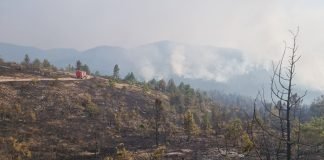 Пожарите ги соголија и системските слабости во нивното справување