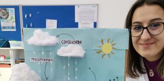 Алексова: Потребни се до 30 години за обновa на шумите уништени во пожарите