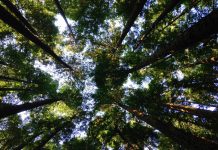 Кој има пристап до еколошка правда, а кој останува на маргини?