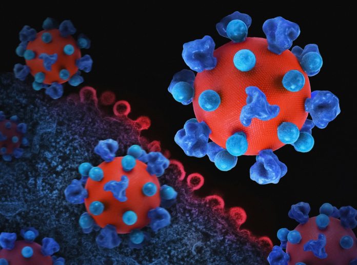 hantavirus